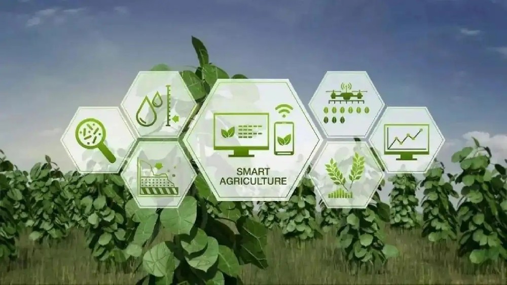 IoT agrícola (2).jpg