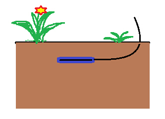 Sensor de flujo de calor del suelo.png