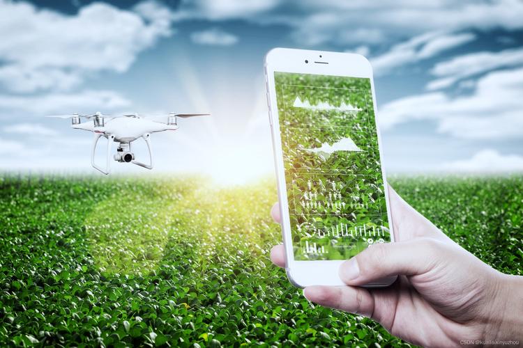 Agricultura IoT.jpeg