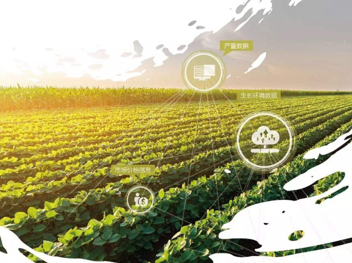 Agricultura IoT.png
