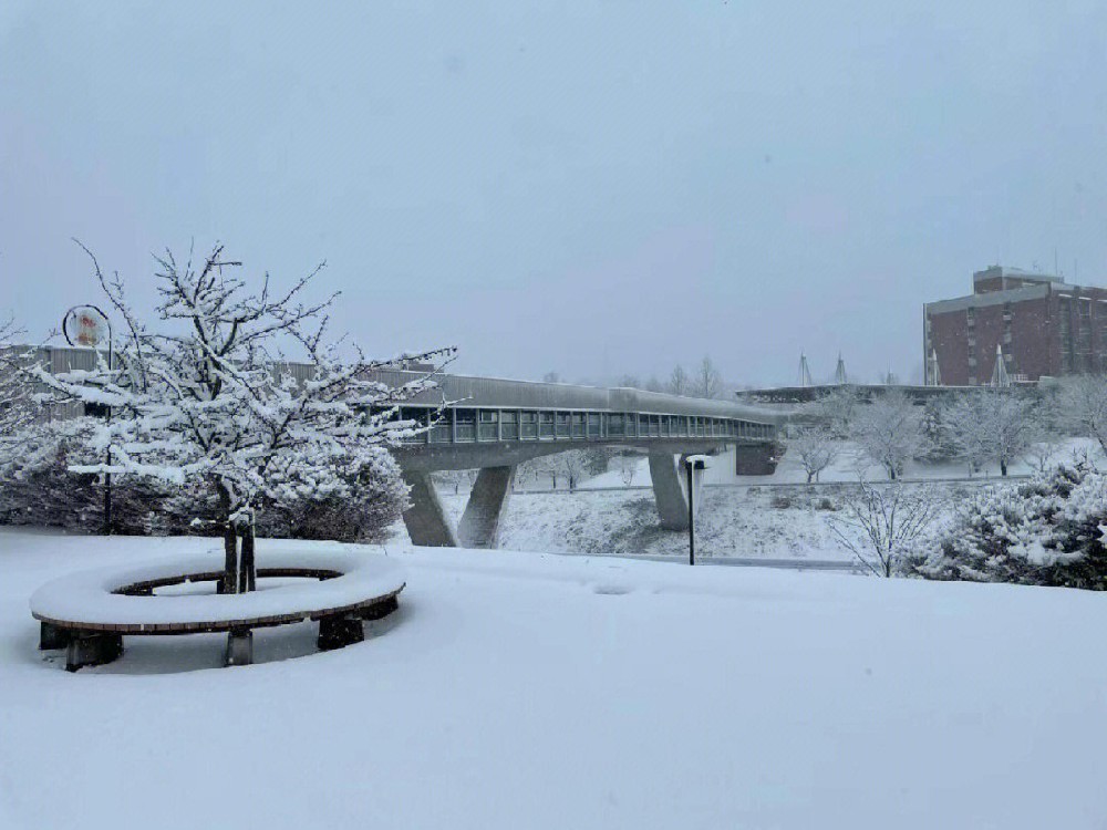 nieve.jpeg