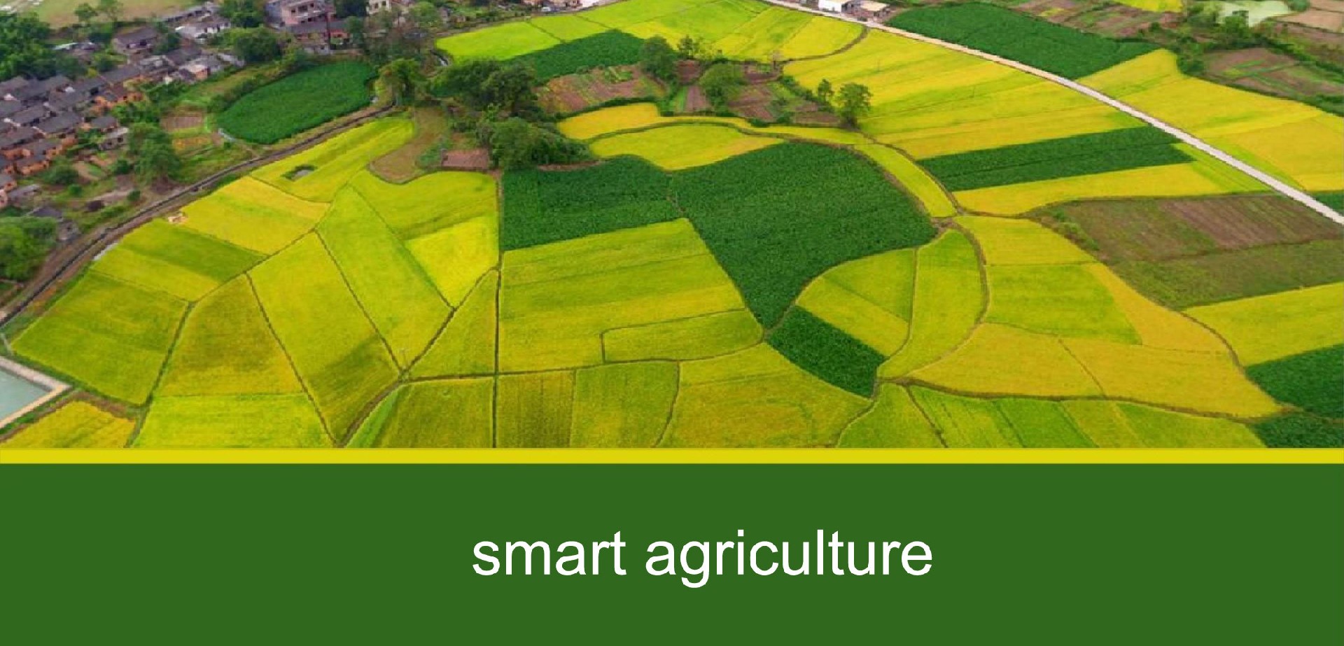 agricultura inteligente.jpg