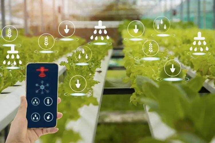 Plataforma de IoT en la nube agrícola.jpeg