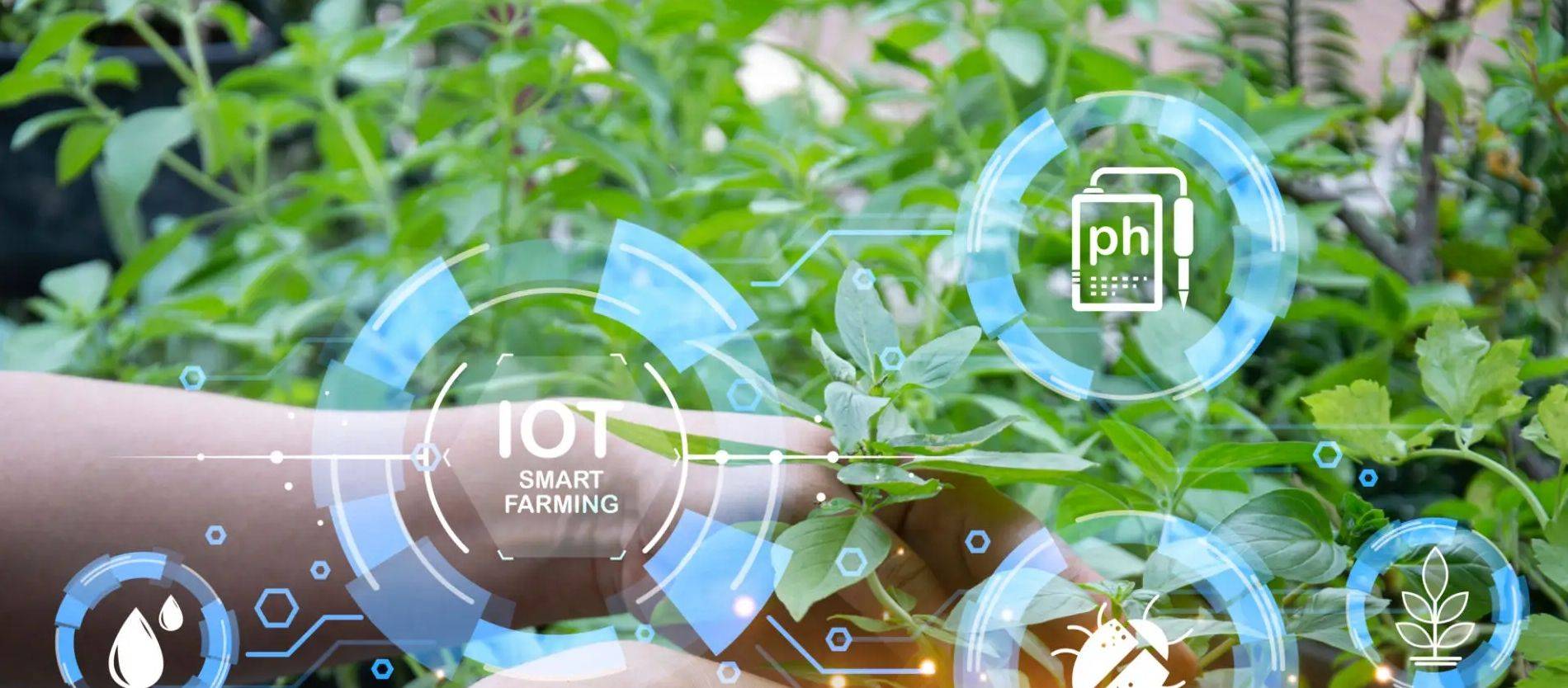 Plataforma de IoT en la nube agrícola.jpeg
