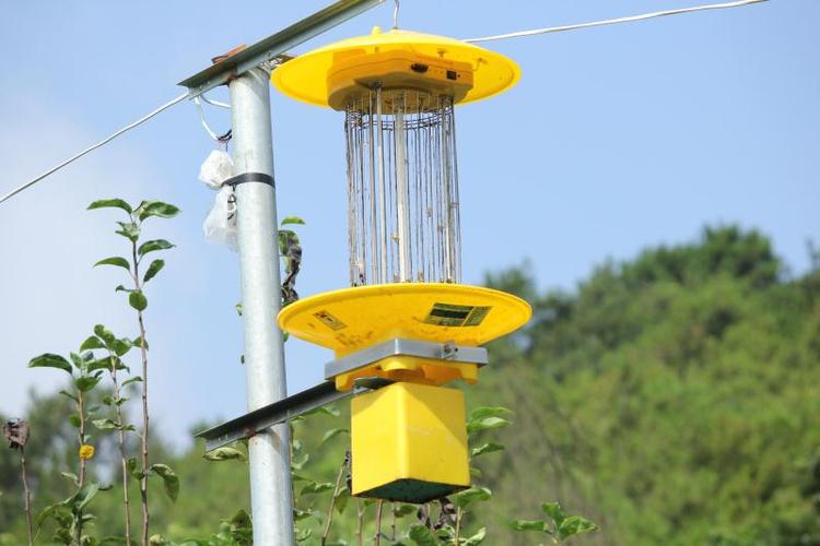 Lámparas insecticidas vibratorias.jpeg