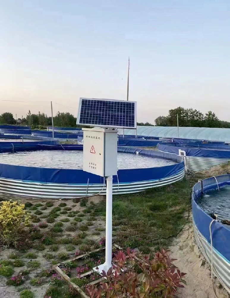 Sistema de control y sensores para el monitoreo de la calidad del agua en instalaciones de cría pesquera.jpg