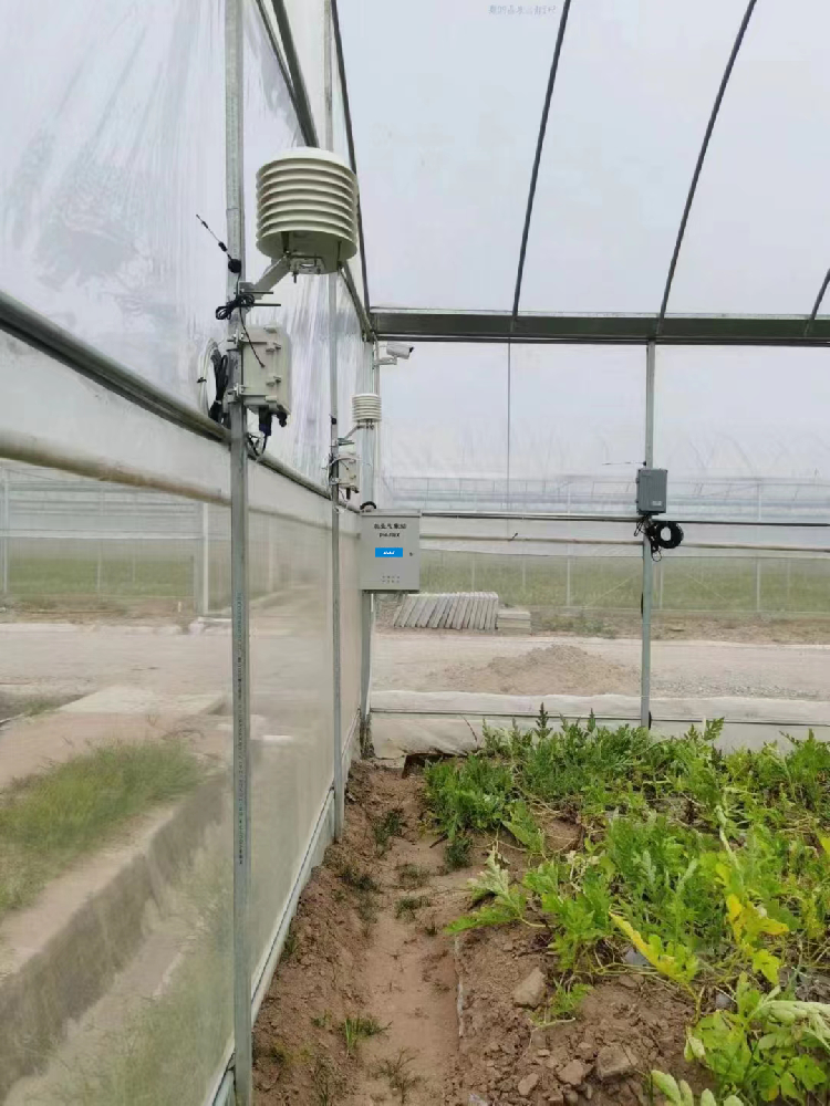 Instalación de sensor de temperatura del aire, presión de humedad y sistema de control para invernaderos.png