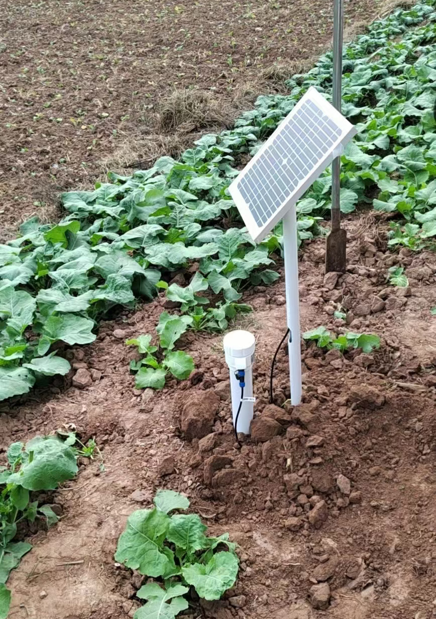 Sensor de humedad del suelo de múltiples profundidades.jpg