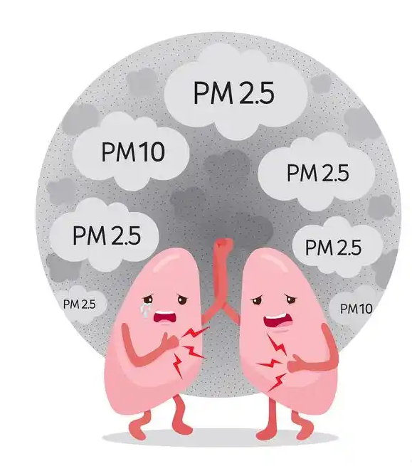 PM2.5 y PM10.png