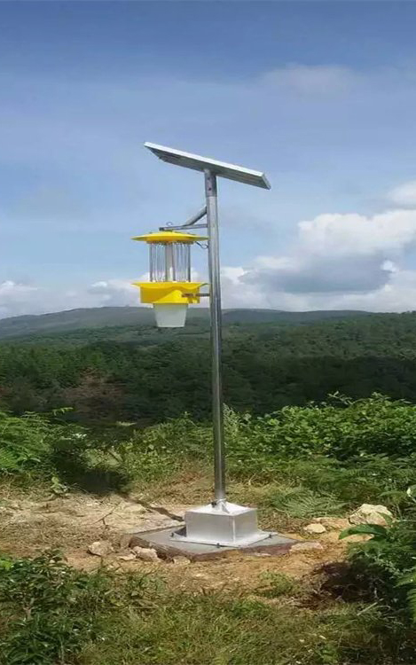 Trampa de insectos solar.jpeg