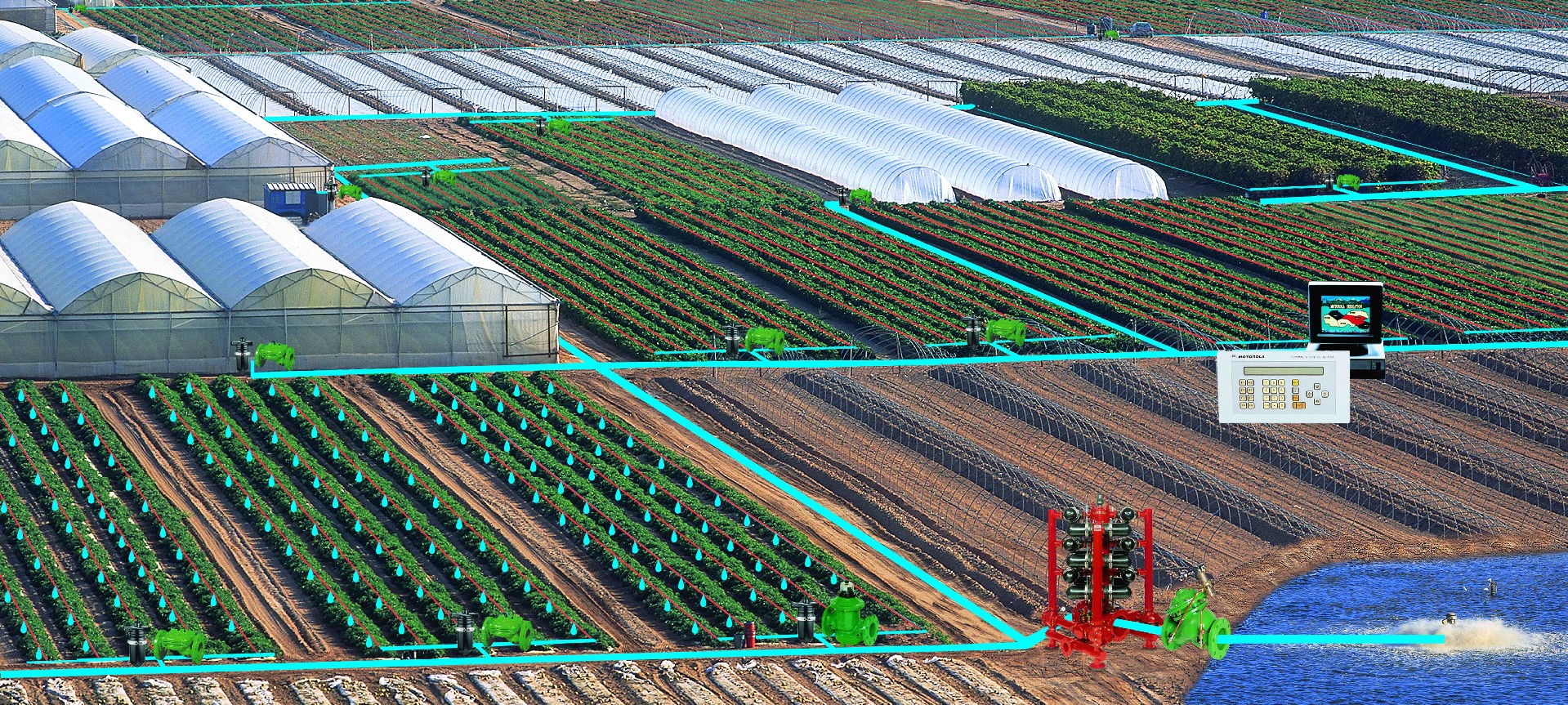 Drip Irrigation Automation.jpg