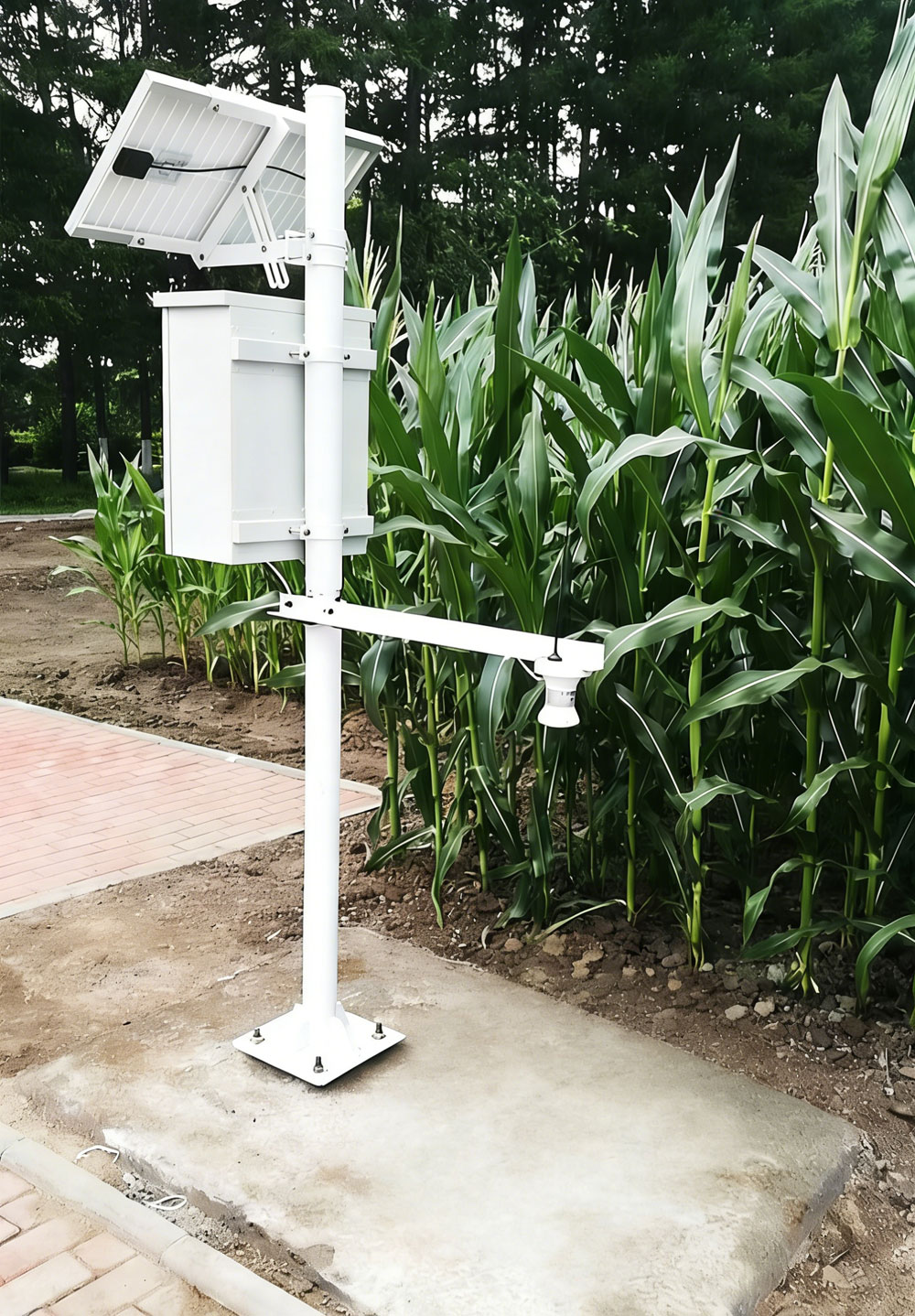 Sensor ultrasónico de espesor de nieve (2).jpg